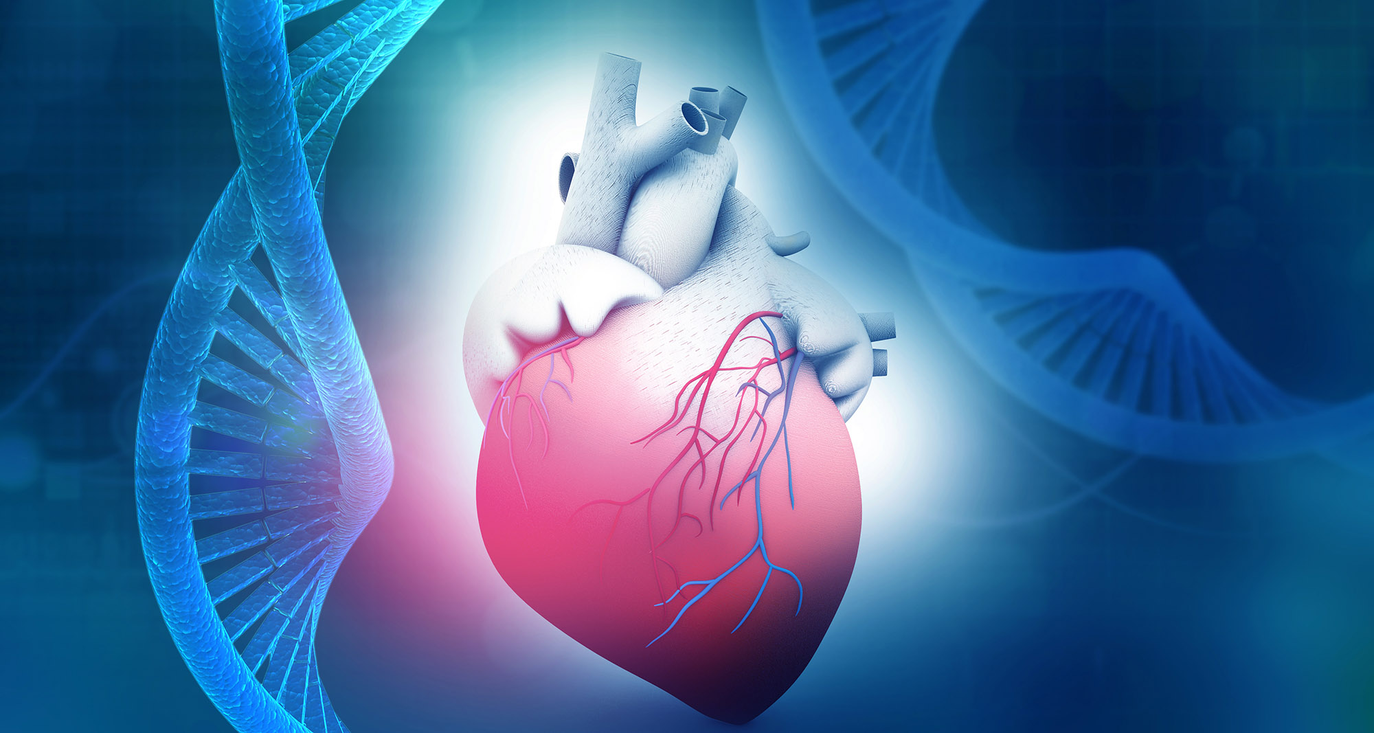 Cardiovascular Structural Congenital Heart Disease Research Baylor